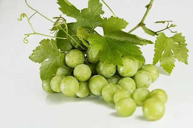 bunch-of-grapes image