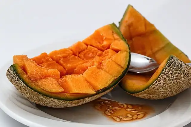 cantaloupe image