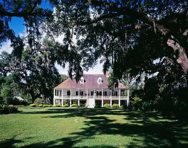 cotton-plantation image