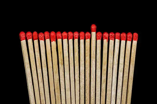 matches image